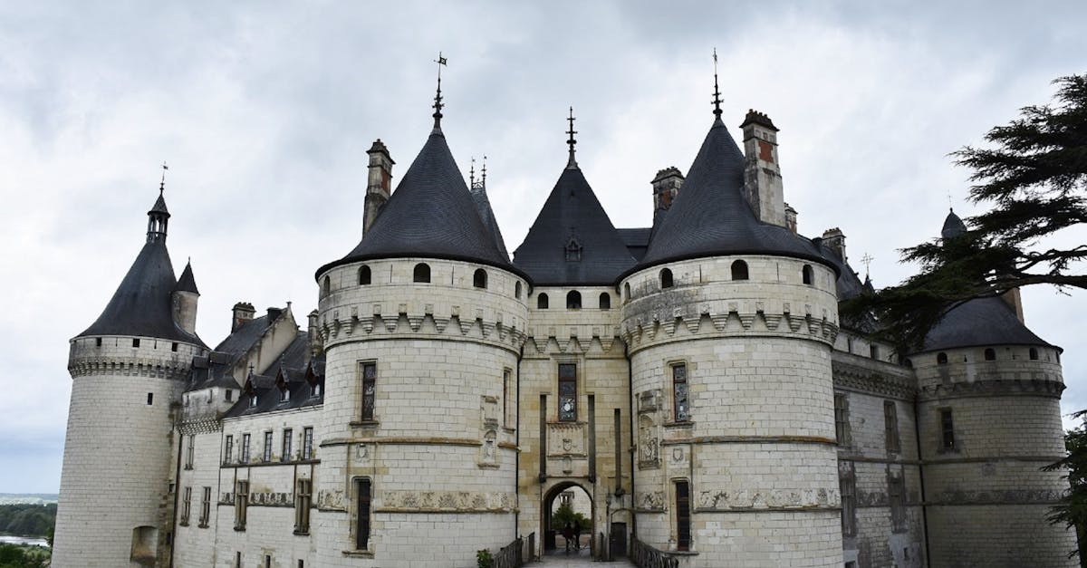 découvrez chaumont-sur-loire, une charmante commune de france réputée pour son festival international des jardins, ses paysages pittoresques et son impressionnant château surplombant la loire. parfait pour les amateurs de nature et d'histoire.