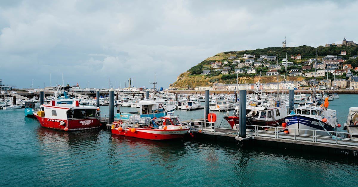découvrez cherbourg, une ville portuaire riche en histoire et en culture, offrant des paysages magnifiques, des musées fascinants et des activités variées pour tous. que vous soyez passionné d'histoire, amateur de nature ou en quête de bonnes adresses, cherbourg a tout pour plaire.