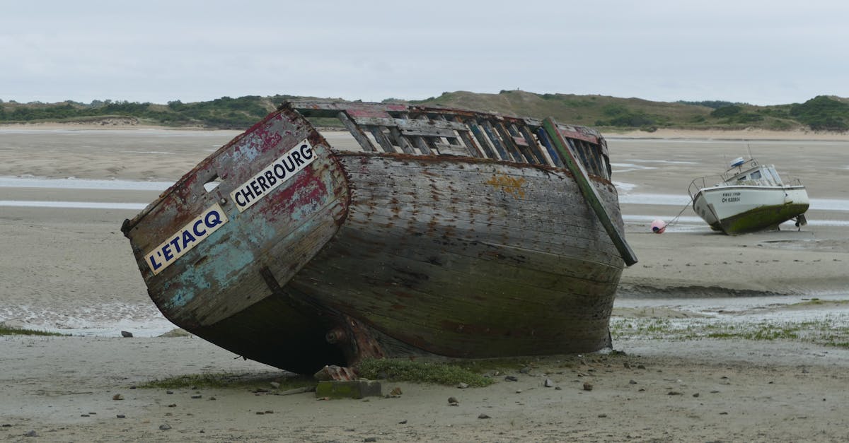 découvrez cherbourg, une ville portuaire riche en histoire et en culture, offrant des paysages marins époustouflants, des musées fascinants, et une gastronomie de fruits de mer à ne pas manquer. explorez ses jardins, ses monuments et profitez des activités nautiques sur la côte normande.