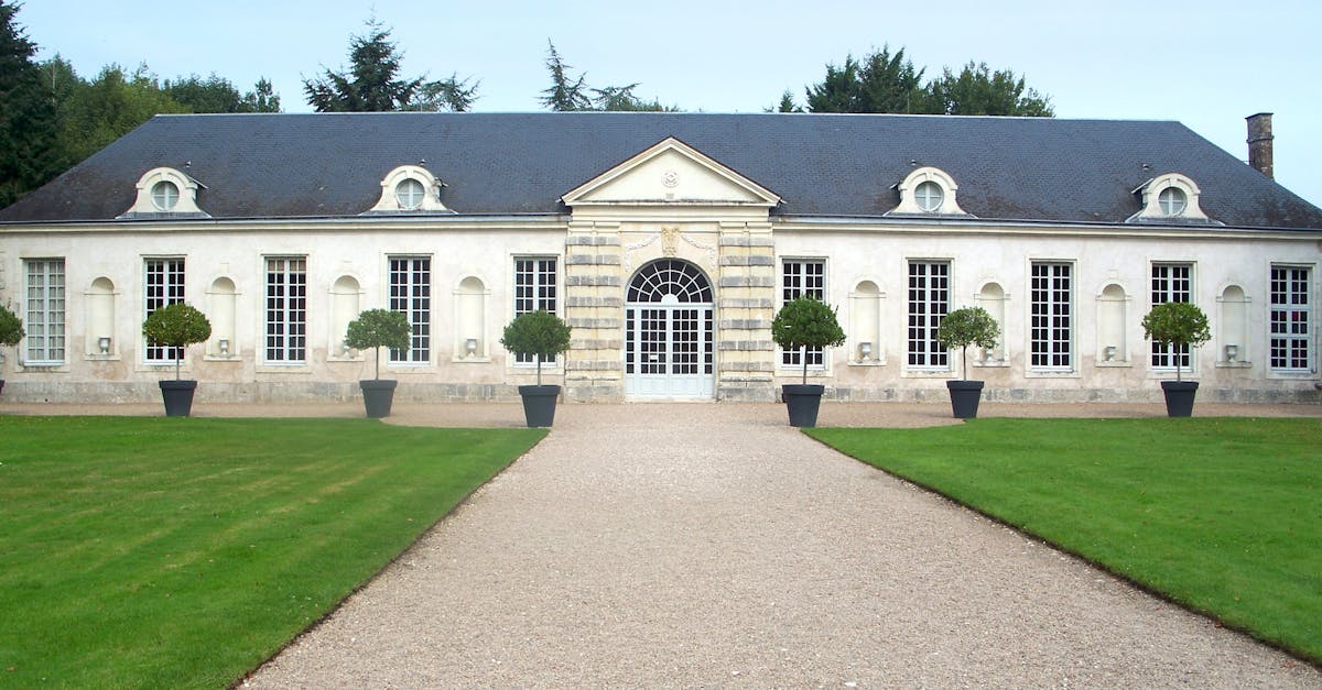découvrez cheverny, un charmant château de la loire célèbre pour son architecture renaissance et ses somptueux jardins. explorez son riche patrimoine culturel et laissez-vous séduire par ses expositions uniques et son histoire fascinante.