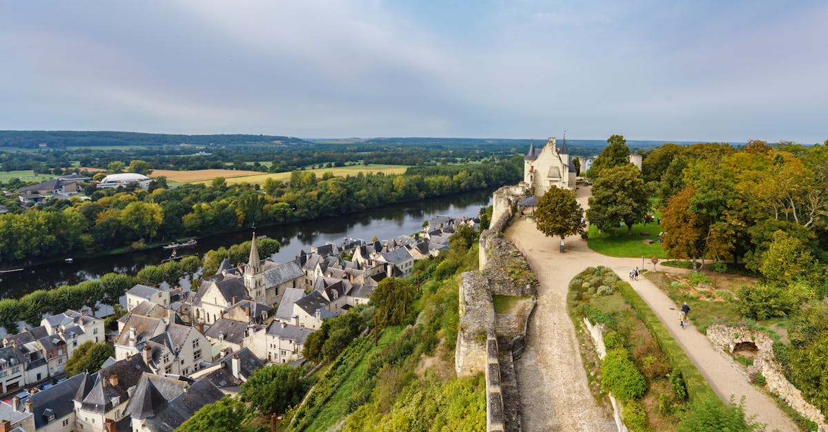découvrez chinon, une charmante ville historique située au cœur de la vallée de la loire. plongez dans son riche patrimoine, explorez son château médiéval et savourez les délicieuses spécialités locales dans un cadre enchanteur. éveillez vos sens et laissez-vous séduire par le charme authentique de chinon.