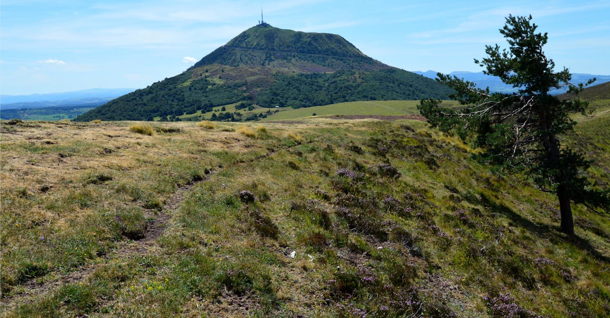 découvrez clermont-ferrand, une charmante ville auvergnate, célèbre pour son patrimoine historique, sa cathédrale en pierre de lave et ses paysages volcaniques environnants. explorez ses musées, ses restaurants savoureux et ses festivités tout au long de l'année.