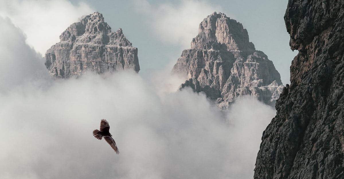 découvrez l'univers captivant de 'cliff', un récit palpitant qui mêle aventure et émotions, sur fond de paysages grandioses. suivez les personnages dans leur quête pour surmonter des obstacles et découvrir des vérités cachées.