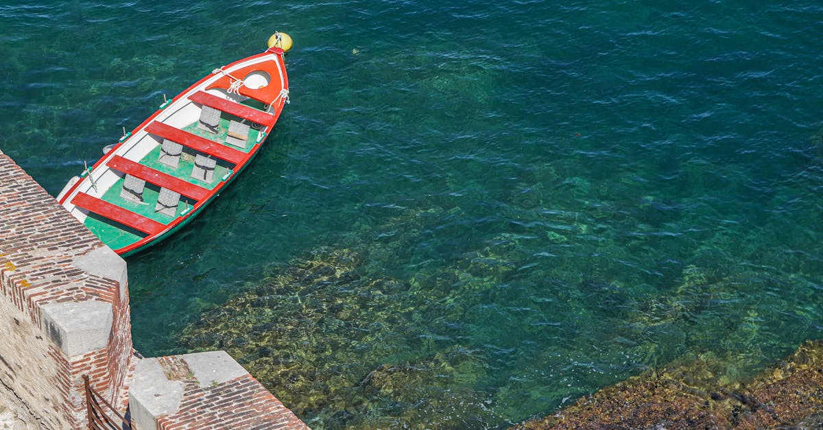 découvrez collioure, ce charmant village médiéval situé sur la côte vermeille, en france. admirez ses ruelles pavées, ses maisons colorées et son riche patrimoine artistique, tout en profitant de ses plages ensoleillées et de sa gastronomie savoureuse.