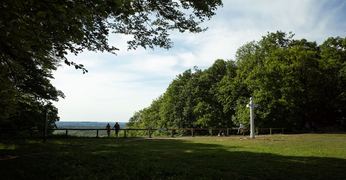 découvrez compiègne, une ville riche en histoire et en patrimoine. explorez ses magnifiques châteaux, ses parcs verdoyants et son ambiance chaleureuse. que ce soit pour une visite culturelle ou une escapade en nature, compiègne vous réserve de nombreuses surprises.