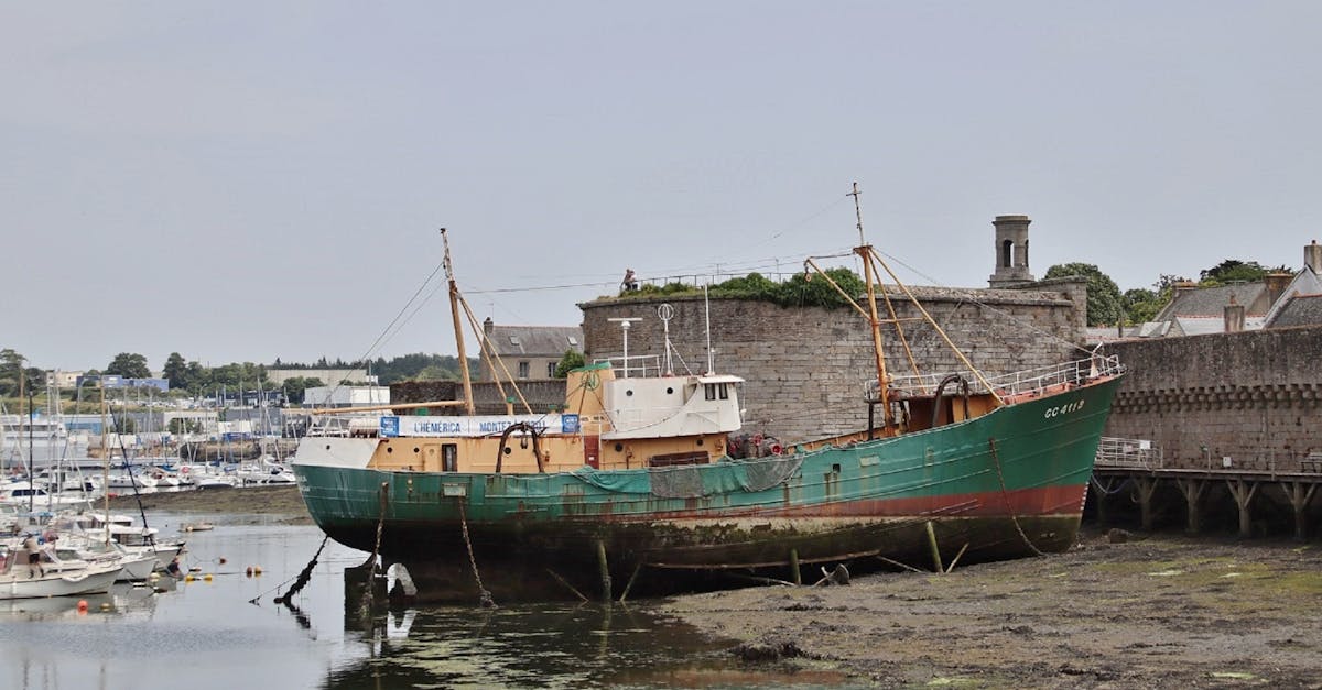 découvrez concarneau, une charmante ville côtière en bretagne, célèbre pour sa vieille ville fortifiée, ses plages de sable fin et son port de pêche pittoresque. explorez ses richesses culturelles, savourez la gastronomie locale et profitez d'activités nautiques au cœur de l'océan atlantique.