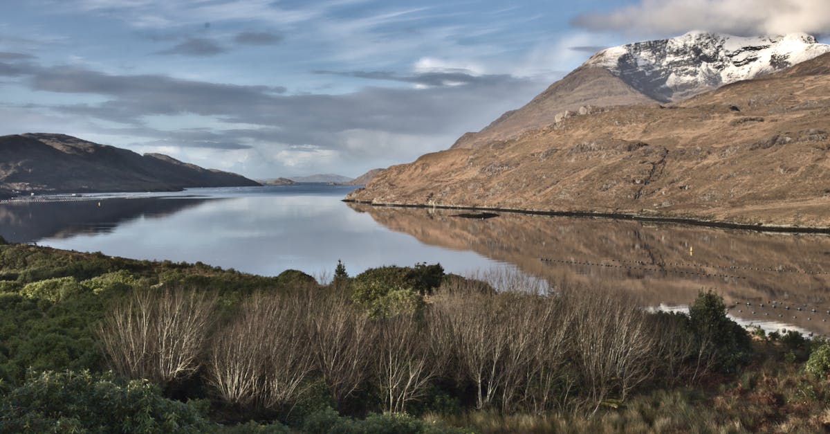 découvrez connacht, une région irlandaise riche en paysages enchanteurs, en histoire fascinante et en culture vibrante. explorez ses charmants villages, ses magnifiques côtes et ses sites historiques inoubliables.