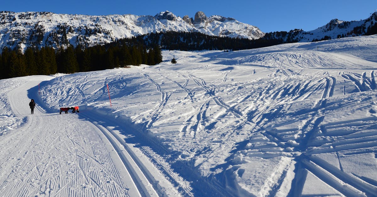 découvrez courchevel, la station de ski emblématique des alpes françaises, offrant des pistes exceptionnelles, des panoramas à couper le souffle et un cadre idyllique pour des vacances inoubliables en montagne.