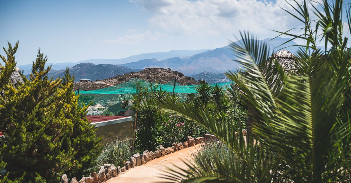 découvrez la beauté envoûtante de la crète, une île grecque riche en histoire, paysages à couper le souffle et plages paradisiaques. explorez ses charmants villages, ses sites archéologiques fascinants et savourez la délicieuse cuisine locale. un voyage inoubliable vous attend sur cette perle de la méditerranée.
