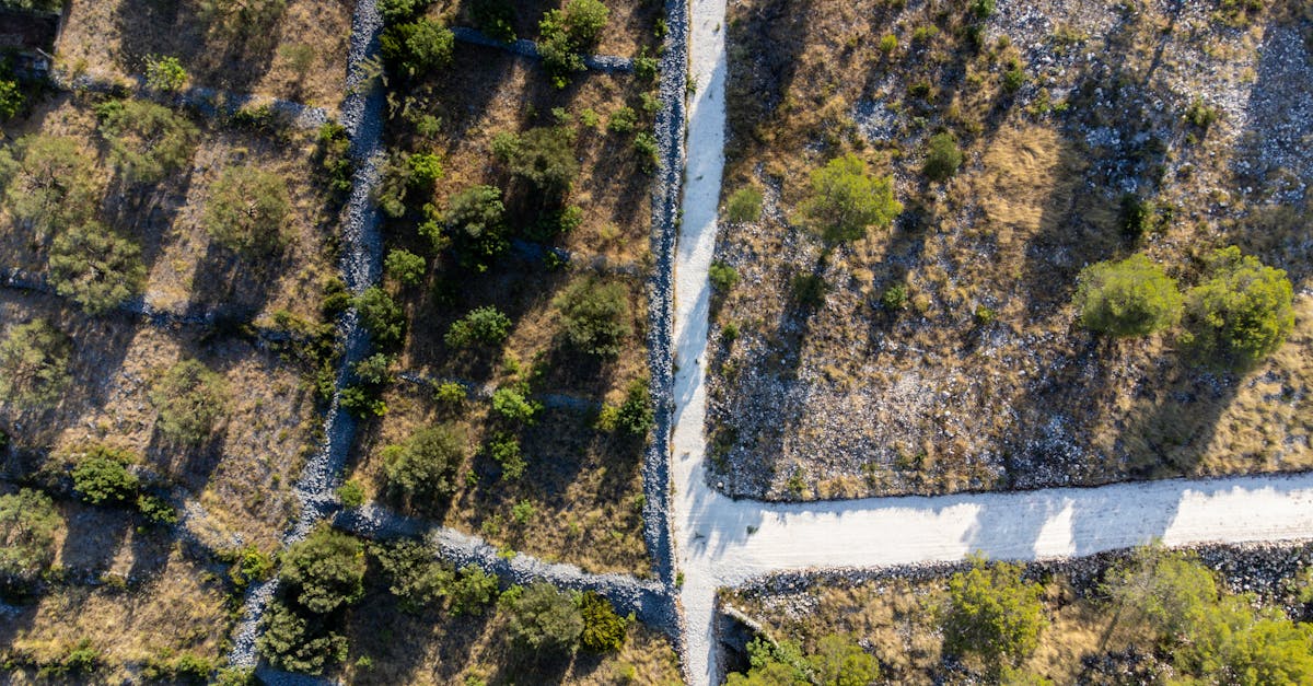 découvrez la croatie, un pays aux paysages à couper le souffle, riches en histoire et en culture. explorez ses magnifiques côtes adriatiques, ses îles idylliques et ses charmantes villes médiévales. parfait pour les amateurs de nature, de gastronomie et d'aventure !