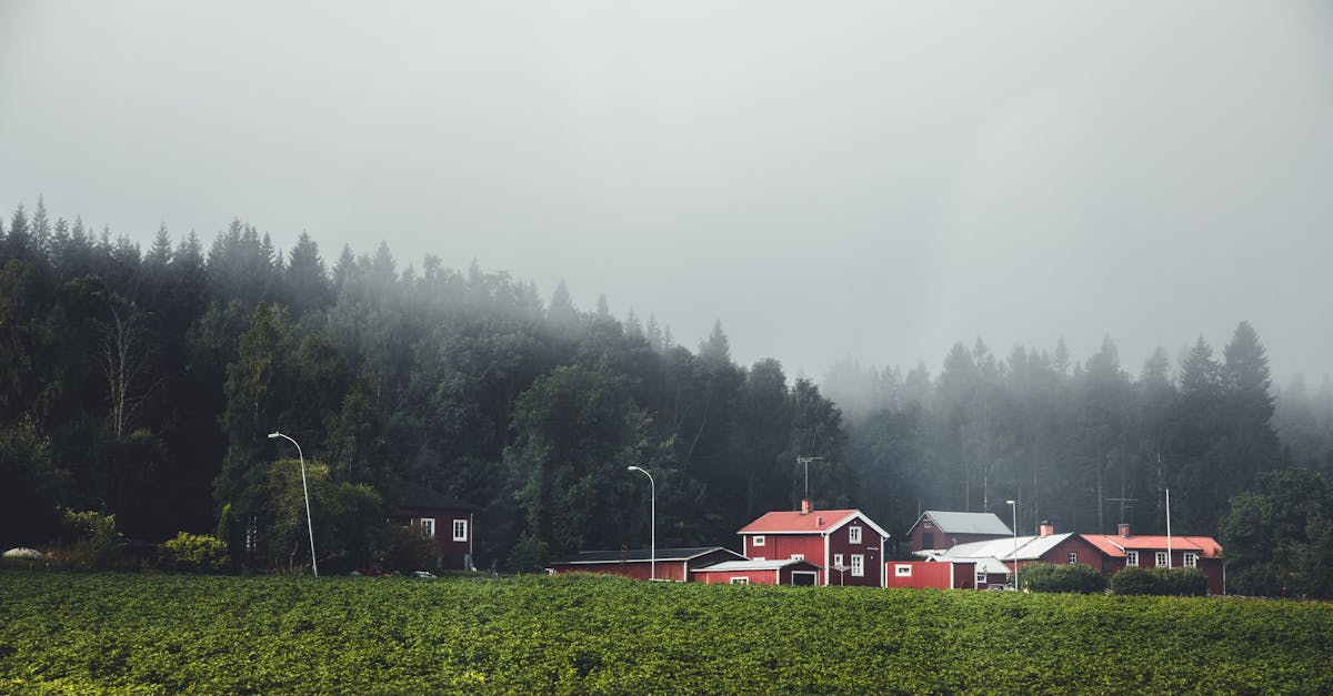 découvrez dalarna, une région pittoresque de suède célèbre pour ses paysages spectaculaires, ses traditions folkloriques et ses charmantes villages. explorez la riche culture, les bois majestueux et les lacs cristallins qui font de dalarna une destination incontournable pour les amoureux de la nature et de l'histoire.