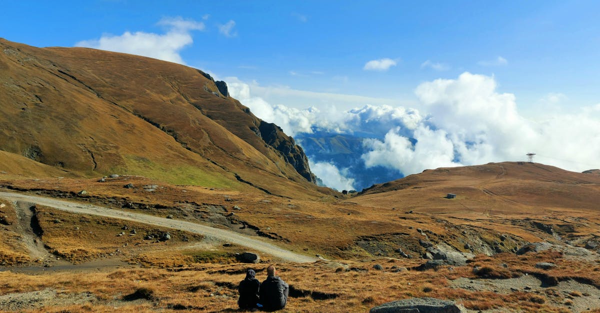 découvrez dâmbovița, une région riche en histoire et en nature, où les paysages pittoresques rencontrent des traditions vivantes. explorez ses charmants villages, ses festivals culturels et sa gastronomie authentique.