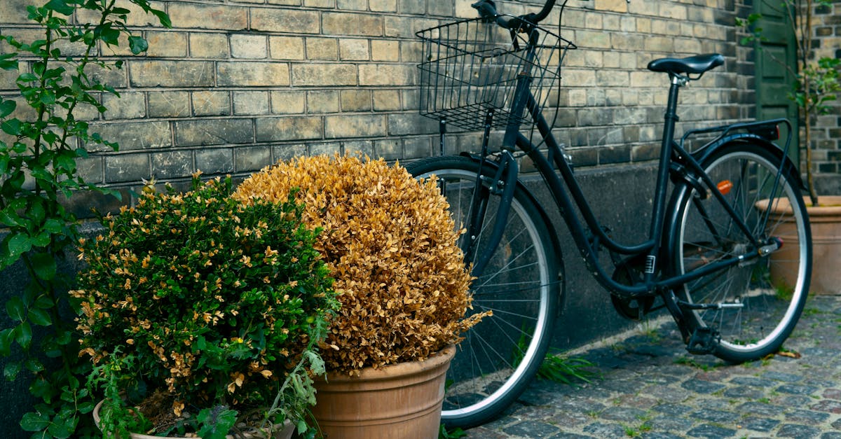 découvrez le danemark, un pays nordique riche en histoire, culture et paysages saisissants. explorez ses villes vibrantes comme copenhague, admirez ses châteaux majestueux et plongez dans la nature préservée des fjords. une destination idéale pour les amateurs de gastronomie, d'art et d'aventures en plein air.