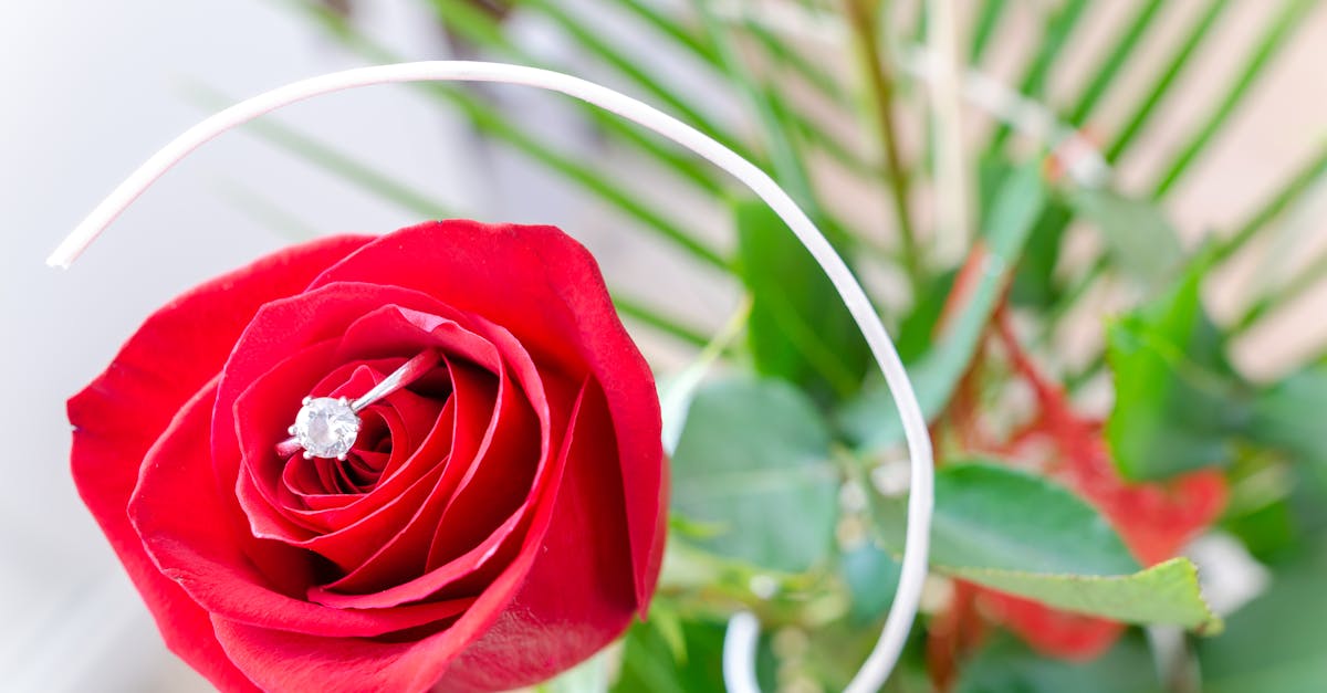 découvrez l'univers fascinant des diamants : leur origine, leurs caractéristiques uniques et comment ils sont taillés pour révéler toute leur éclat. explorez les différentes variétés et apprenez à choisir le diamant parfait pour vos bijoux.