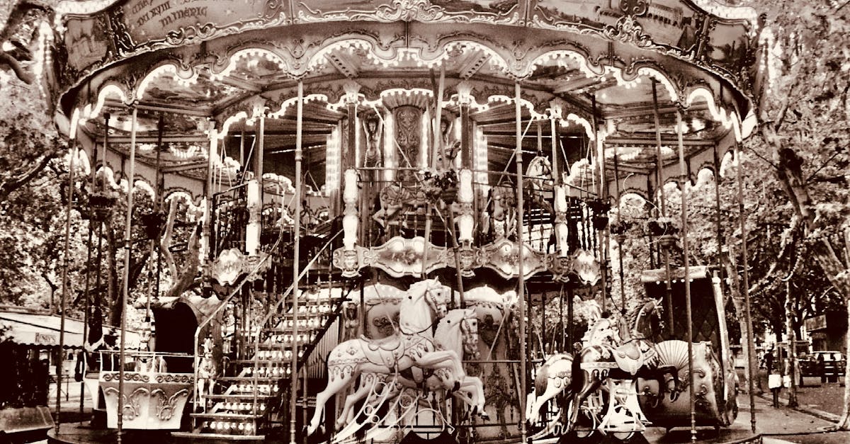 découvrez dijon, la capitale des grands crus, où l'histoire se mêle à la gastronomie. explorez ses ruelles médiévales, savourez la moutarde emblématique et découvrez ses richesses culturelles. un voyage inoubliable au cœur de la bourgogne vous attend.