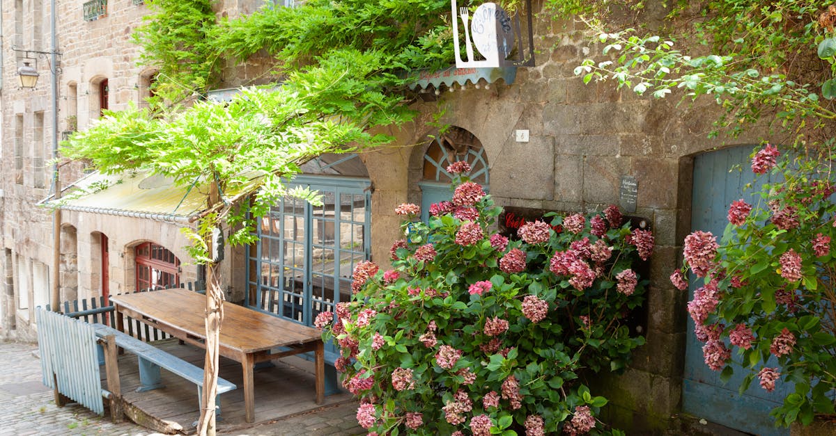 découvrez dinan, une charmante ville médiévale en bretagne, connue pour ses ruelles pavées, ses maisons à colombages et son patrimoine historique exceptionnel. explorez ses sites touristiques, ses boutiques artisanales et ses cafés pittoresques pour une expérience inoubliable.
