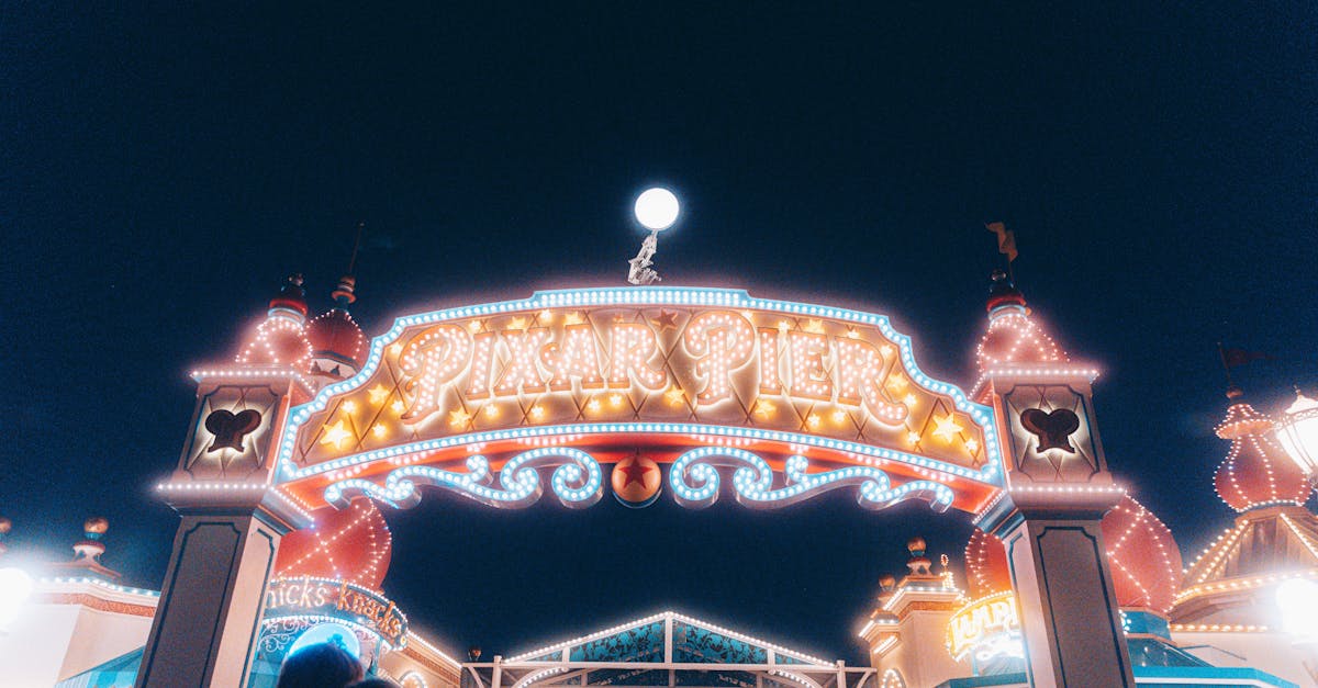 découvrez la magie de disneyland, un parc d'attractions emblématique où la joie et l'aventure attendent petits et grands. profitez des attractions, des spectacles et de la rencontre avec vos personnages préférés dans un cadre enchanteur.