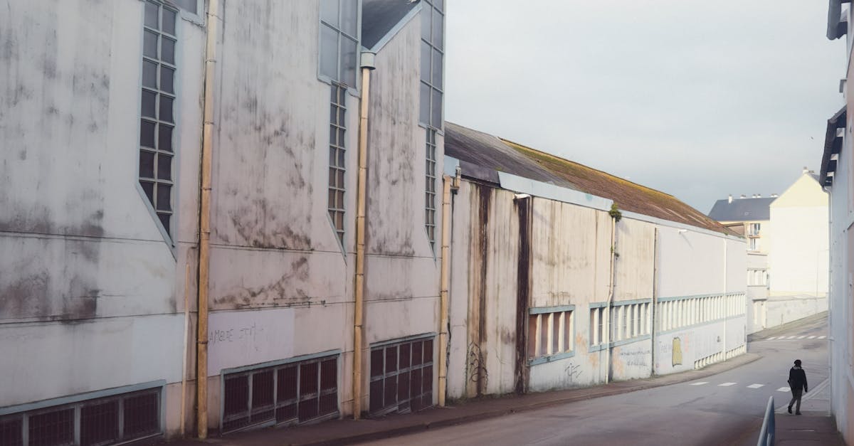 découvrez douarnenez, une charmante ville bretonne réputée pour ses paysages côtiers à couper le souffle, son riche patrimoine maritime et ses plages accueillantes. explorez ses ports pittoresques, déguster des spécialités locales et plongez dans l'histoire de cette destination authentique.