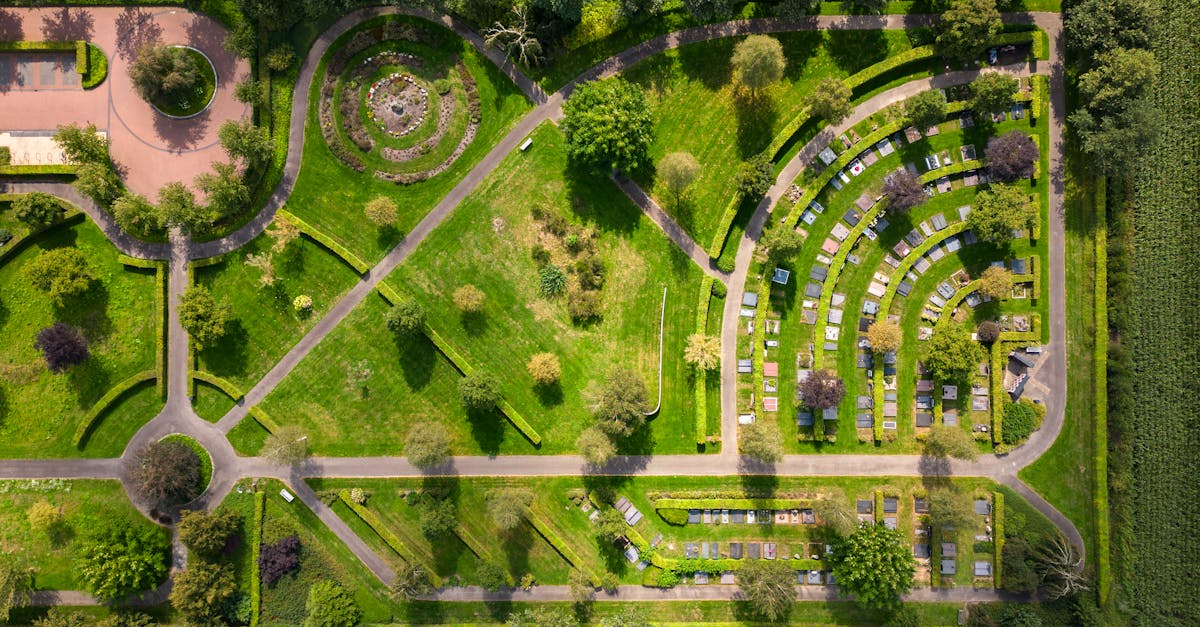 découvrez la région paisible de drenthe, un havre de tranquillité en plein air en hollande. explorez ses paysages verdoyants, ses charmants villages, ses sites préhistoriques et profitez d'activités de plein air pour toute la famille.