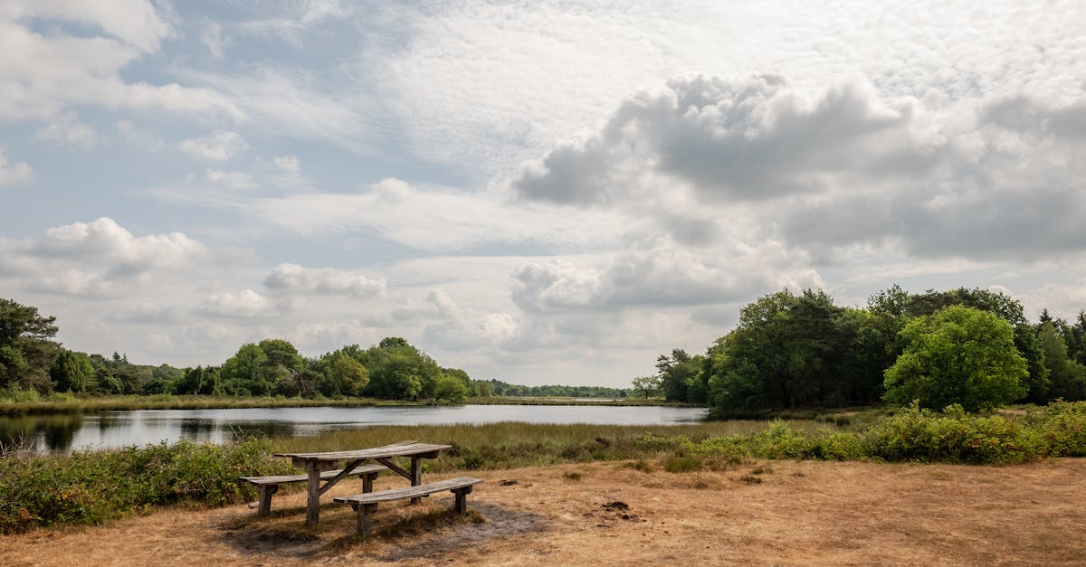 découvrez drenthe, une région pittoresque des pays-bas, connue pour ses paysages verdoyants, ses sites préhistoriques fascinants et ses charmants villages. parfait pour les amoureux de la nature et les passionnés d'histoire, drenthe offre une multitude d'activités en plein air et une richesse culturelle à explorer.