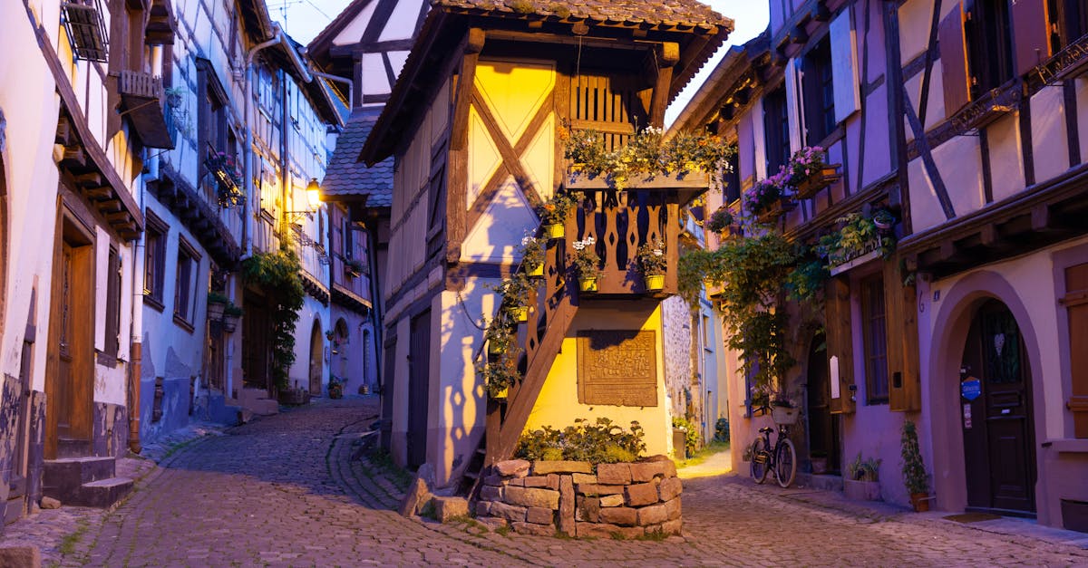 découvrez eguisheim, un charmant village alsacien aux ruelles pittoresques et aux maisons à colombages colorées. promenez-vous dans ses vignobles, savourez ses spécialités locales et plongez dans l'histoire de ce site classé parmi les plus beaux villages de france.