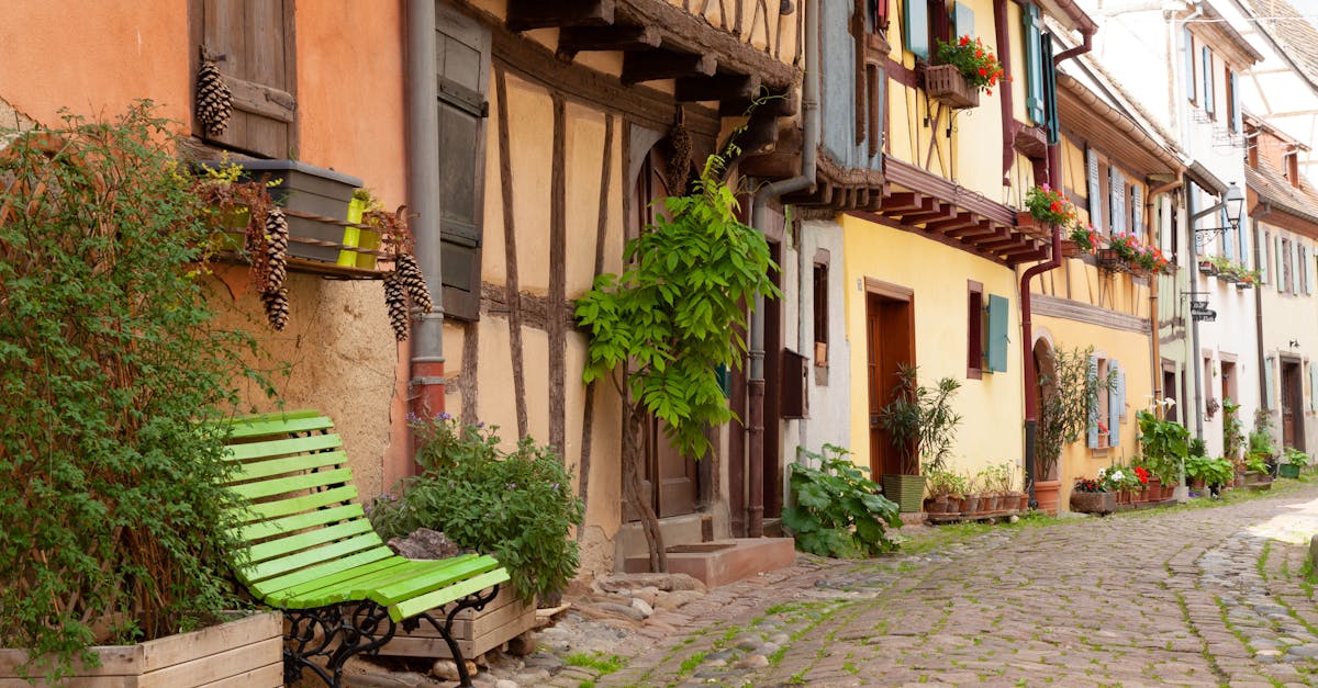 découvrez eguisheim, un charmant village alsacien classé parmi les plus beaux de france. promenez-vous dans ses ruelles pavées, admirez ses maisons à colombages colorées et savourez les délices culinaires locaux tout en profitant d'un cadre idyllique au cœur des vignes.
