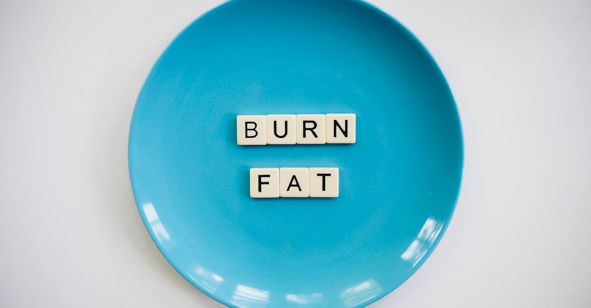 découvrez tout sur le terme 'fat' : ses implications en nutrition, en santé et dans le bien-être. explorez les différents types de graisses, leurs rôles dans le corps et comment les intégrer de manière équilibrée dans votre alimentation.