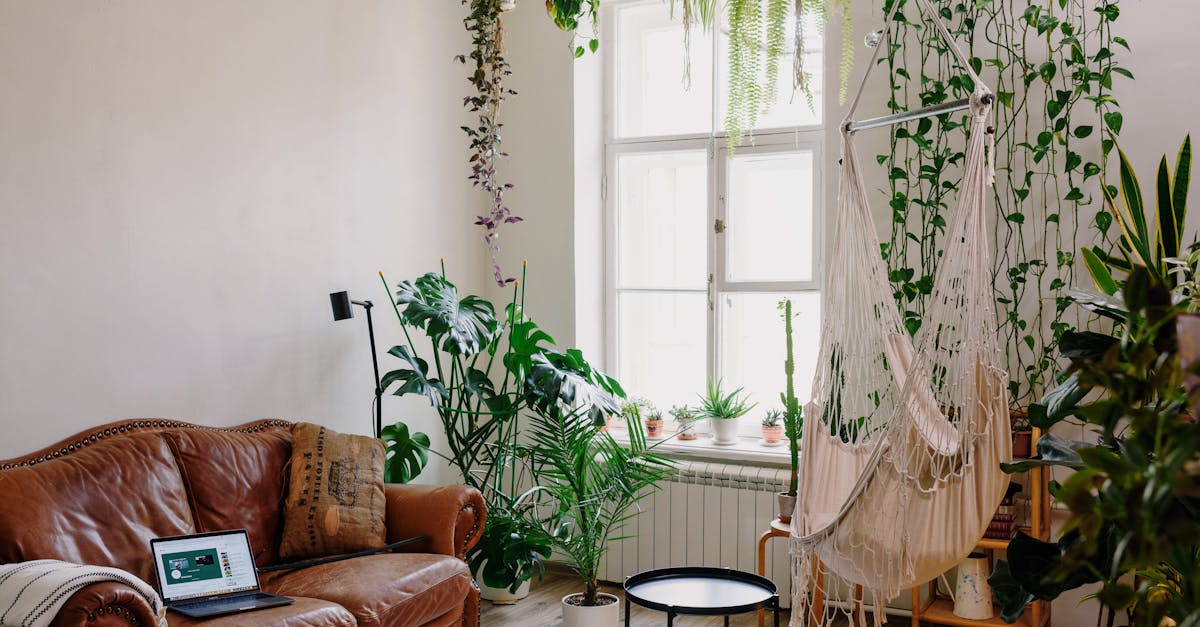 découvrez l'univers fascinant des fougères : ces plantes luxuriantes qui apportent une touche de verdure à votre intérieur et votre jardin. explorez les différentes espèces, leurs caractéristiques et les conseils d'entretien pour les cultiver avec succès.