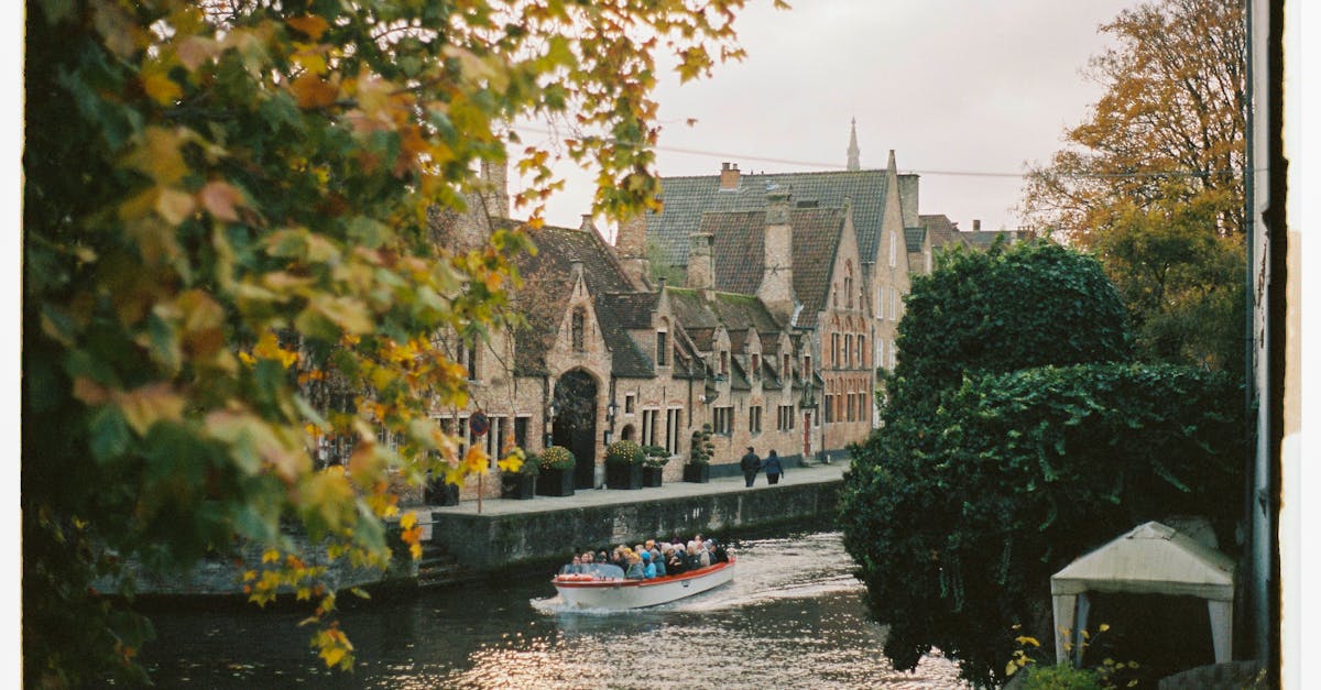 découvrez flandres, une région riche en histoire et en culture, célèbre pour ses paysages pittoresques, sa cuisine délicieuse et ses traditions artistiques. explorez ses charmes uniques et ses attractions captivantes.