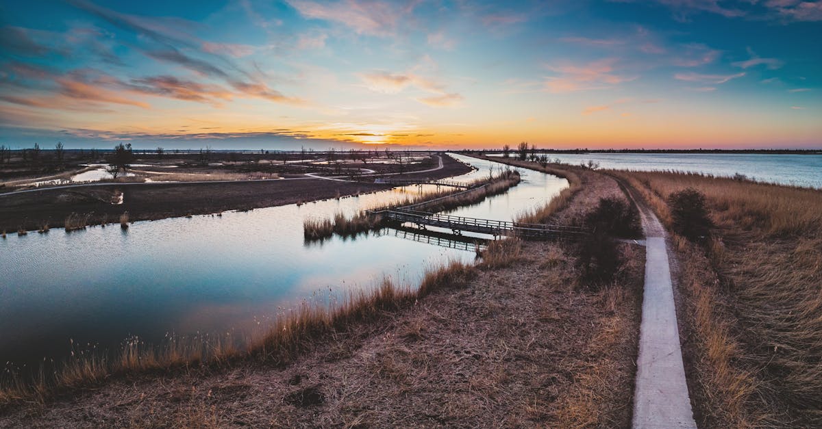 découvrez flevoland, une province néerlandaise unique, connue pour ses paysages marins étonnants, ses vastes terres agricoles et ses villes modernes. explorez ses richesses culturelles, ses activités de plein air et ses attractions captivantes, tout en profitant d'une nature préservée et d'une histoire fascinante.