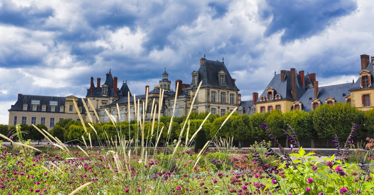 découvrez la splendeur de fontainebleau, une ville emblématique de l'histoire française, célèbre pour son château majestueux, ses paysages époustouflants et ses charmantes ruelles. plongez dans le patrimoine culturel et naturel de cette destination incontournable.
