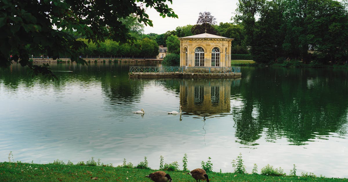 découvrez fontainebleau, une magnifique commune française riche en histoire, avec son célèbre château classé au patrimoine mondial de l'unesco, ses vastes forêts et ses activités de plein air. idéal pour les amateurs de culture et de nature.