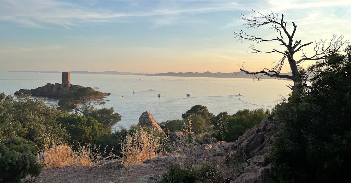découvrez fréjus, une charmante ville côtière du sud de la france, riche en histoire, culture et belles plages. explorez ses sites romains, profitez de ses événements animés et savourez la cuisine méditerranéenne dans un cadre ensoleillé.