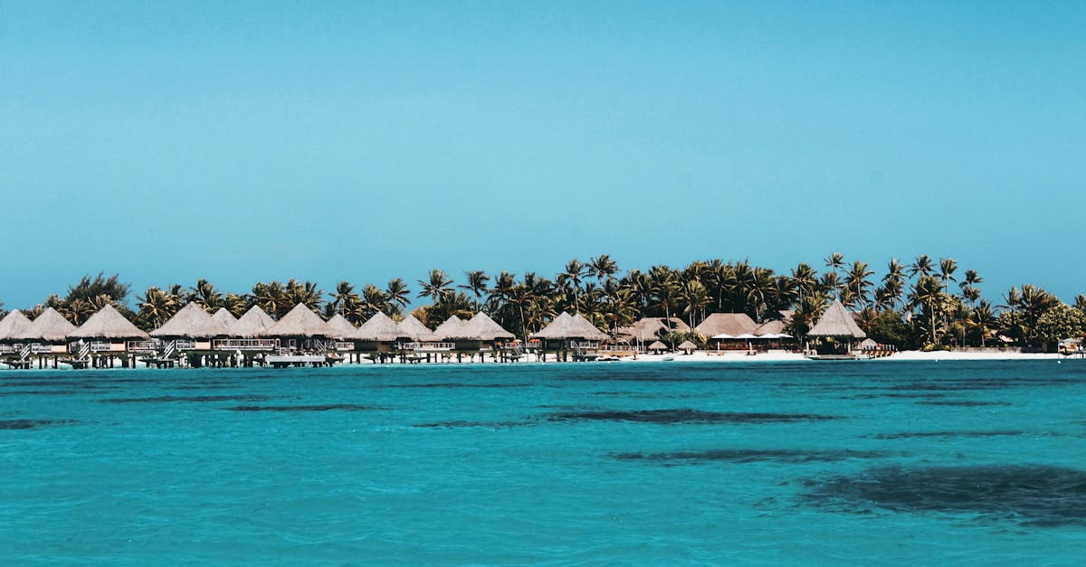 découvrez la beauté enchanteresse de la polynésie française, un paradis tropical aux eaux turquoise, plages de sable blanc et paysages volcaniques à couper le souffle. explorez ses îles exotiques, sa culture riche et son accueil chaleureux.