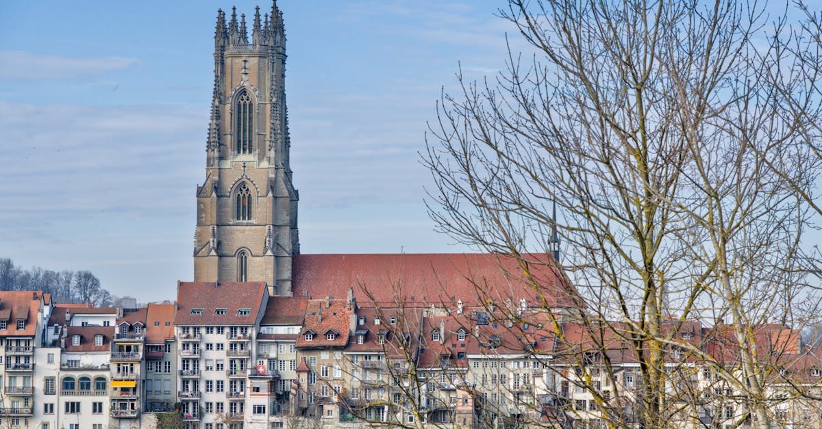 découvrez fribourg, une ville charmante de suisse alliant patrimoine historique, culture vibrante et paysages magnifiques. explorez ses ruelles pittoresques, ses ponts médiévaux et profitez de l'hospitalité des fribourgeois.