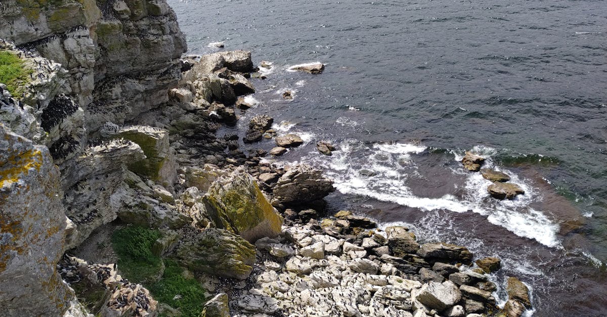 découvrez gotland, une magnifique île suédoise dotée de paysages pittoresques, de plages idylliques et d'une riche histoire médiévale. explorez ses charmants villages, ses sites historiques et laissez-vous séduire par la culture locale. parfait pour les amateurs de nature, d'histoire et de détente.