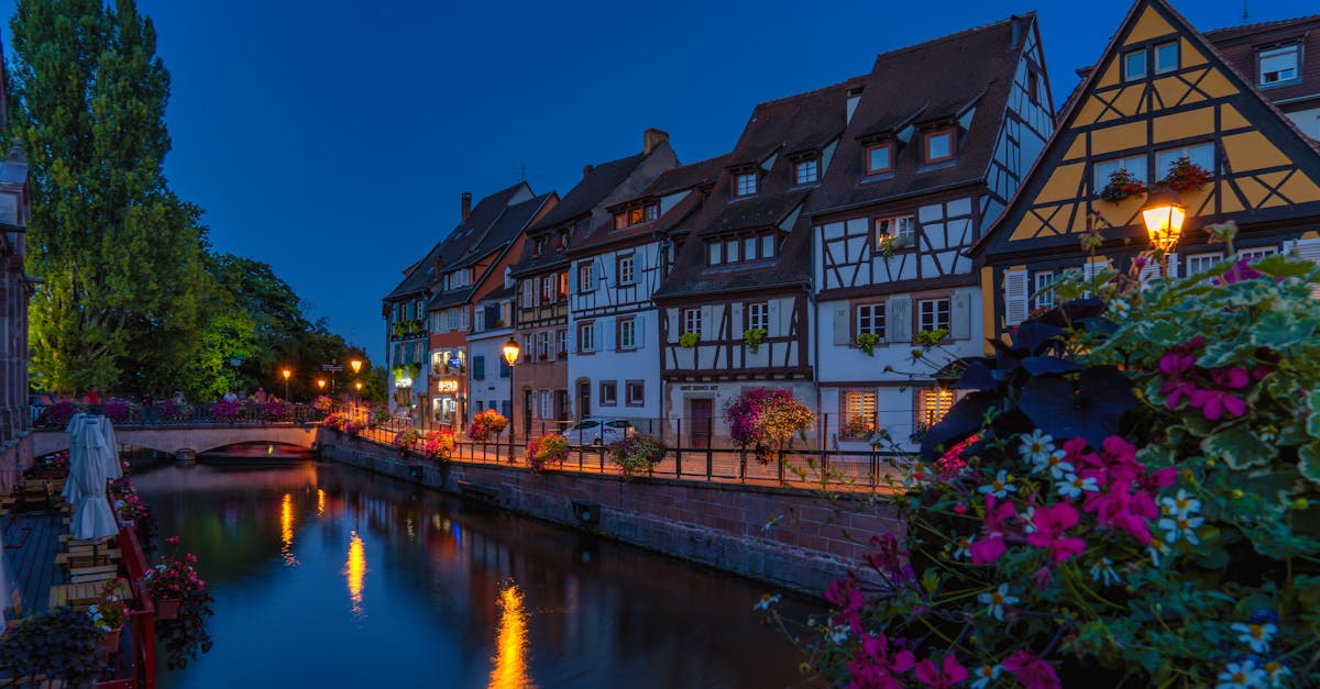 découvrez la région grand est : un patrimoine riche, des paysages variés et une culture vibrante. explorez ses villes historiques, ses villages pittoresques et ses spécialités gastronomiques. une invitation à l'évasion au cœur de la france !