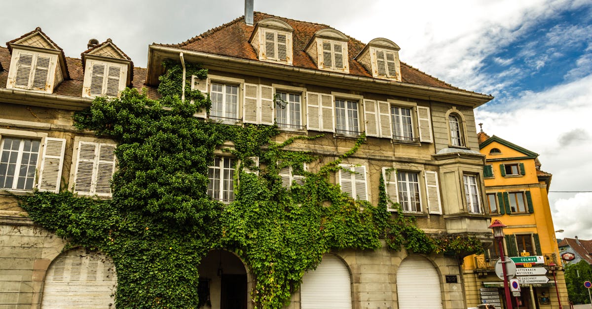 découvrez la région grand est en france, un territoire riche en culture, paysages diversifiés et traditions uniques. explorez ses villes emblématiques, sa gastronomie authentique et ses vignobles renommés pour une expérience inoubliable.