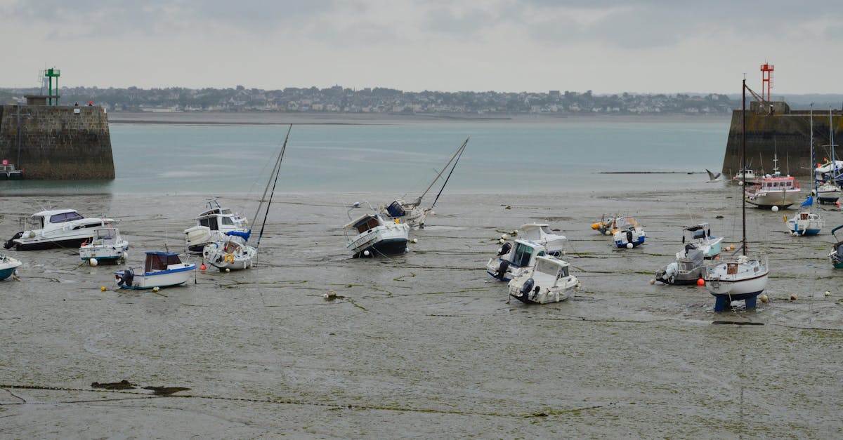 découvrez granville, une charmante station balnéaire de la manche, réputée pour ses plages de sable fin, son port pittoresque et son riche patrimoine historique. explorez ses ruelles animées, ses restaurants de fruits de mer, et profitez des vues imprenables sur la mer.