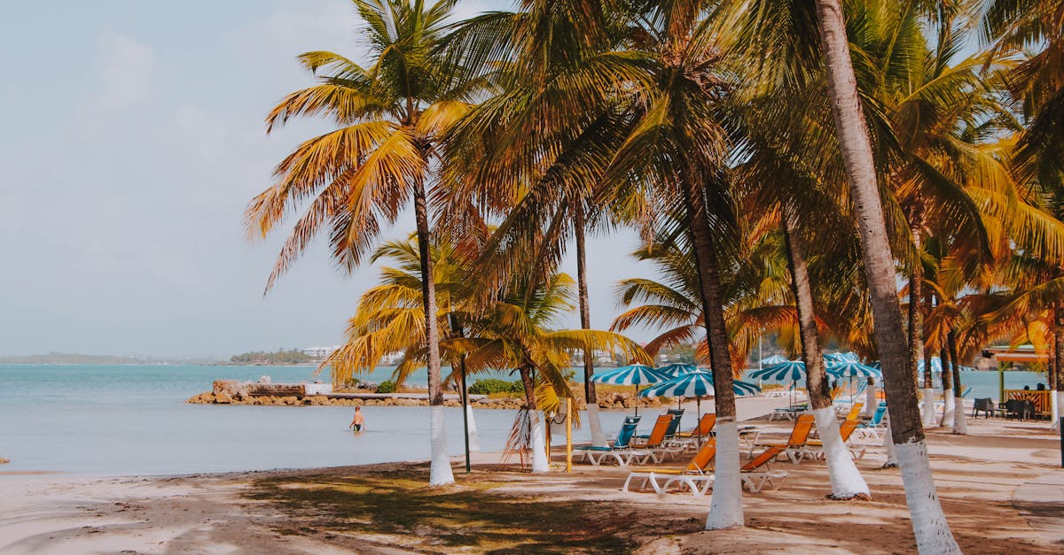 découvrez la beauté envoûtante de la guadeloupe, une destination paradisiaque des caraïbes. plages de sable blanc, paysages luxuriants et culture créole authentique vous attendent pour des vacances inoubliables.
