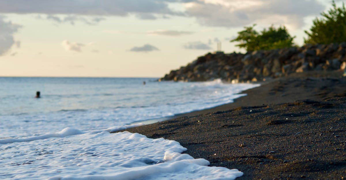 découvrez la beauté envoûtante de la guadeloupe, un paradis tropical aux plages de sable fin, aux eaux cristallines et à la richesse culturelle unique. profitez d'une expérience inoubliable entre nature luxuriante, gastronomie créole et patrimoine historique.