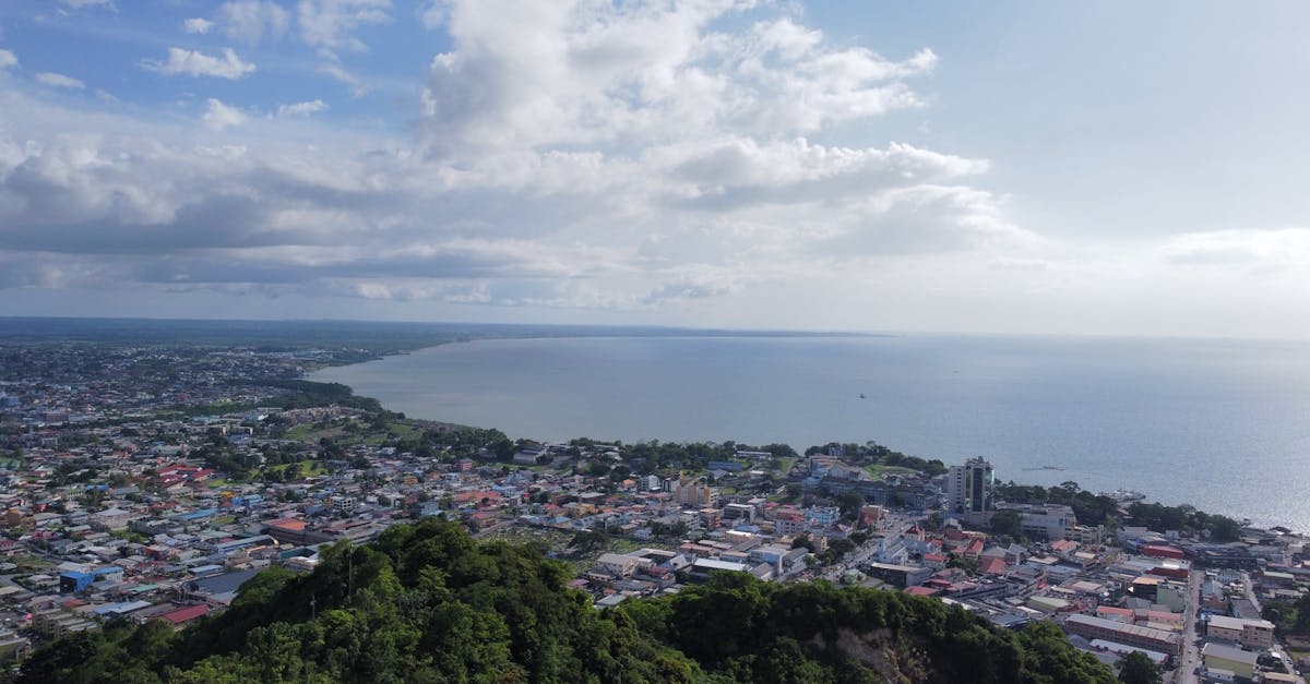 découvrez la guyane, un territoire riche en biodiversité et en multiculturalisme. entre forêts tropicales luxuriantes, rivières majestueuses et une culture vibrante, laissez-vous séduire par ses paysages époustouflants et son histoire fascinante.