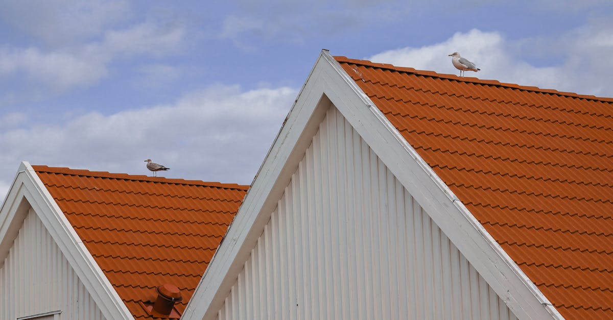 découvrez halland, une région suédoise côtière réputée pour ses paysages pittoresques, ses plages dorées et ses charmants villages. parfait pour les amoureux de la nature et les amateurs d'activités en plein air, halland offre un cadre idyllique pour des vacances inoubliables en suède.