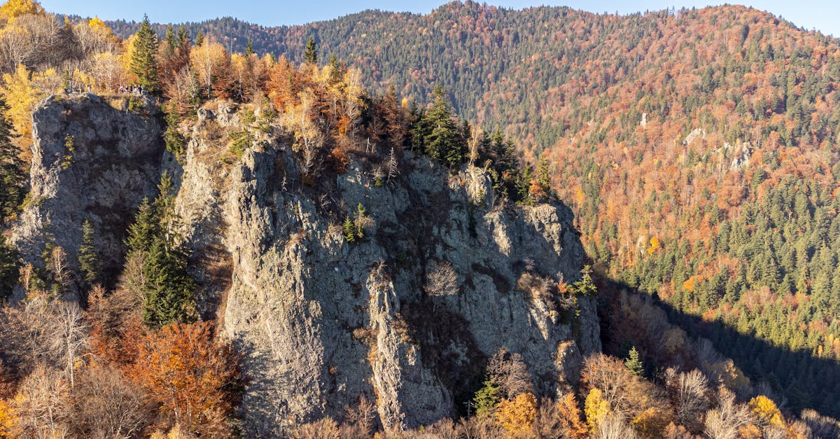 découvrez harghita, une magnifique région des carpates en roumanie, connue pour ses paysages naturels à couper le souffle, ses sources thermales et sa culture riche. parfait pour les amoureux de la nature et les aventuriers, harghita offre des activités variées tout au long de l'année, allant des randonnées en montagne aux festivals traditionnels.