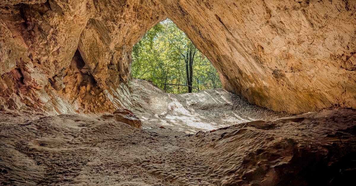 découvrez heves, une destination unique alliant culture, gastronomie et nature. explorez des paysages époustouflants, goûtez aux délices culinaires locaux et plongez dans l'histoire fascinante de cette région.
