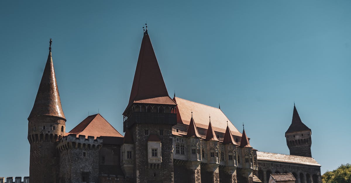 découvrez hunedoara, une ville pittoresque en transylvanie, connue pour son impressionnant château médiéval, ses paysages enchanteurs et son riche héritage culturel. explorez ses attractions historiques et profitez de l'authenticité de la région.