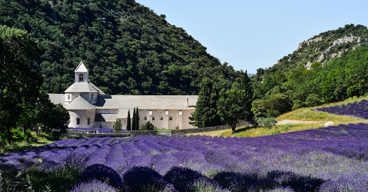 découvrez hyères, une charmante ville côtière du var, célèbre pour ses plages ensoleillées, ses jardins exotiques et son riche patrimoine historique. profitez des magnifiques paysages et des activités en plein air dans ce lieu idyllique du sud de la france.