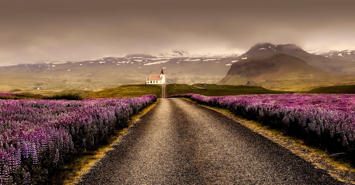 découvrez l'islande, une terre de contrastes fascinants où les paysages volcaniques rencontrent des glaciers majestueux, des geysers en éruption et des bains chauds naturels. explorez la culture nordique riche, les aurores boréales et une faune unique dans ce pays des merveilles naturelles.