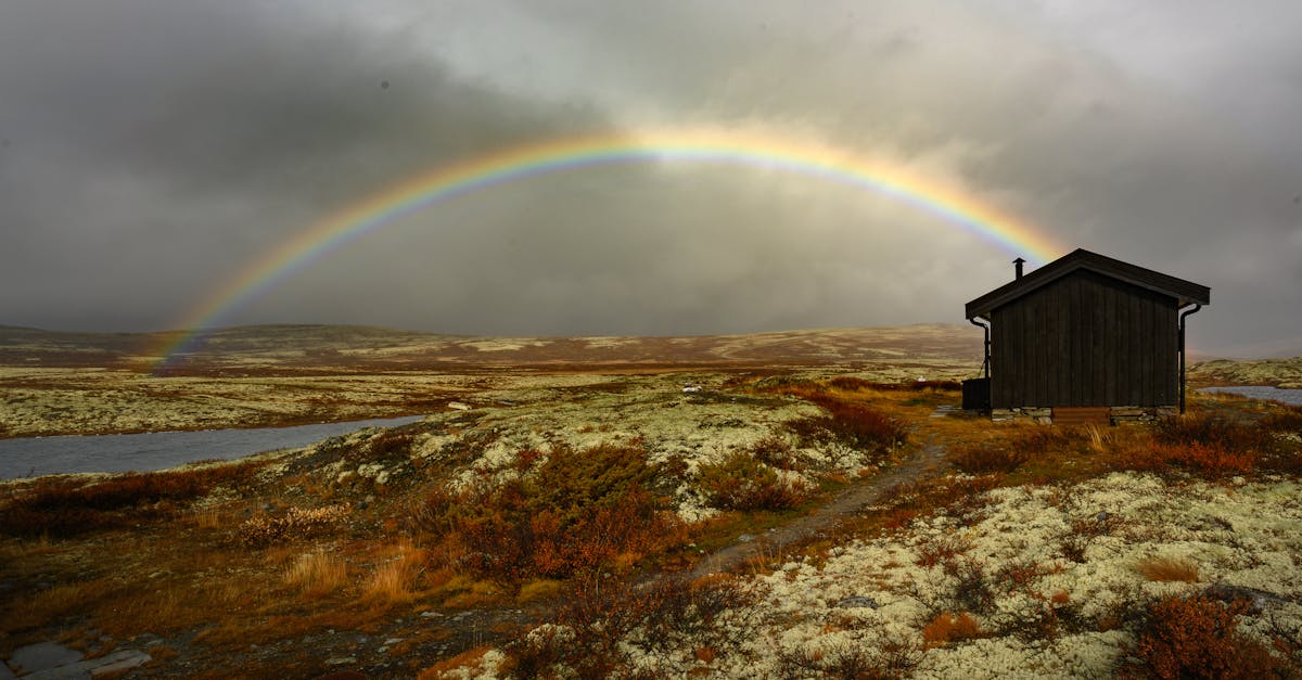 découvrez innlandet, une région riche en paysages naturels époustouflants, en culture dynamique et en activités de plein air. explorez ses forêts, lacs et montagnes, tout en profitant d'une ambiance authentique et chaleureuse.
