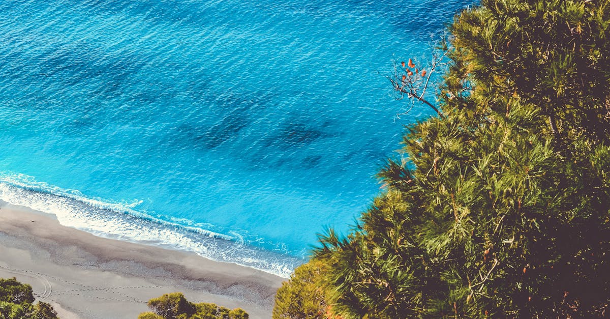 découvrez les îles ioniennes, un véritable paradis grec réputé pour ses paysages époustouflants, ses plages de sable fin, et sa riche histoire culturelle. que vous cherchiez des aventures en plein air, des tavernes pittoresques ou des paysages à couper le souffle, les îles ioniennes vous offrent une expérience inoubliable au cœur de la mer méditerranée.